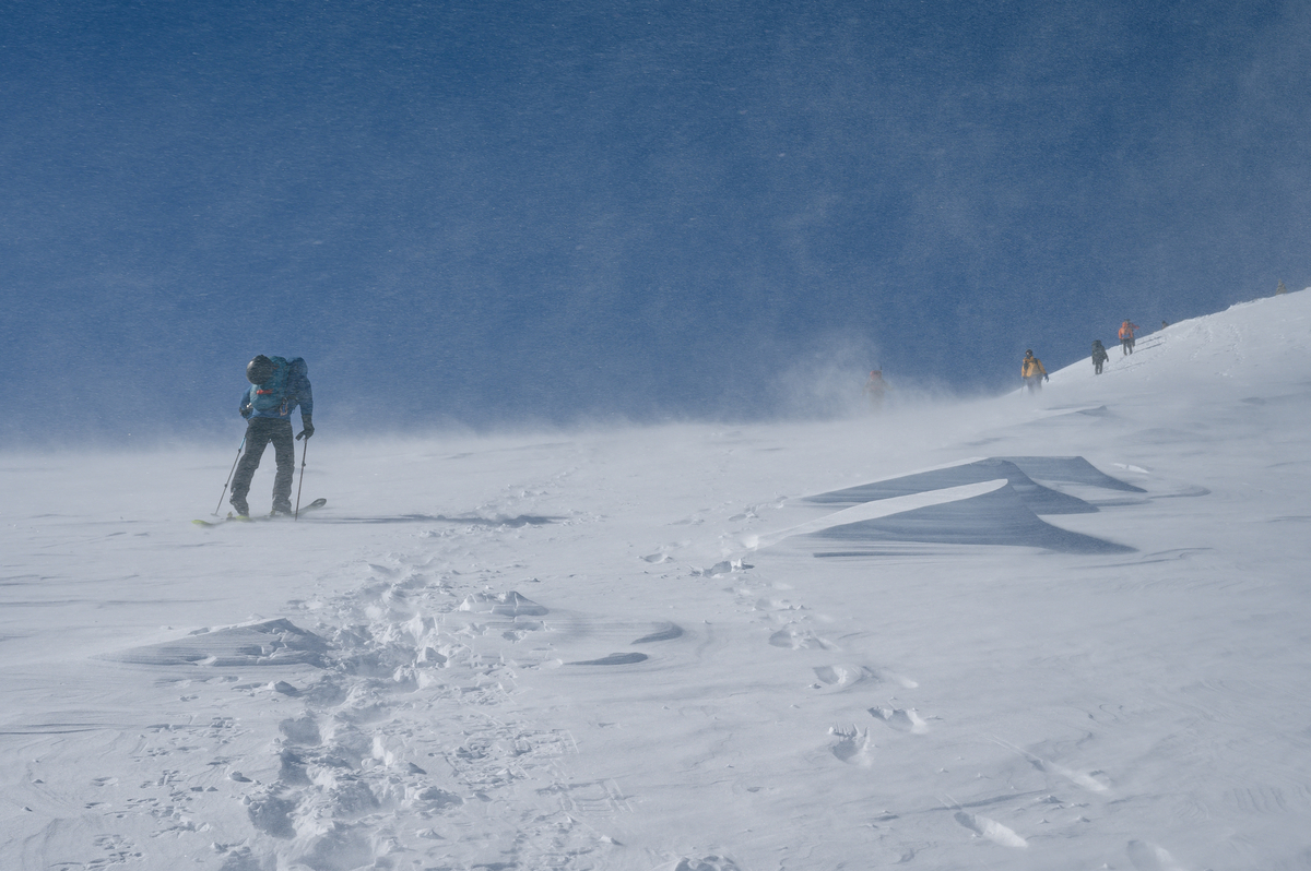 f:id:daitai_Iro:20220227220850j:plain