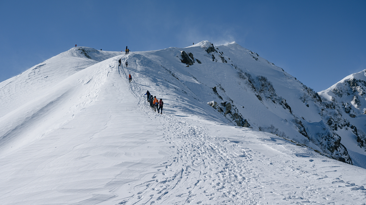 f:id:daitai_Iro:20220227221033j:plain