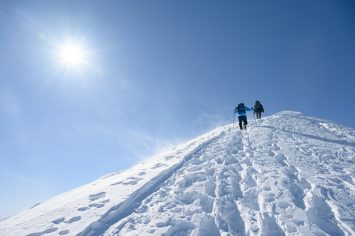 f:id:daitai_Iro:20220227221225j:plain