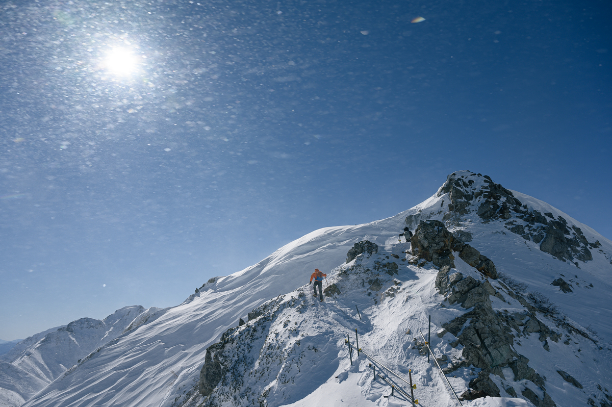 f:id:daitai_Iro:20220227222053j:plain