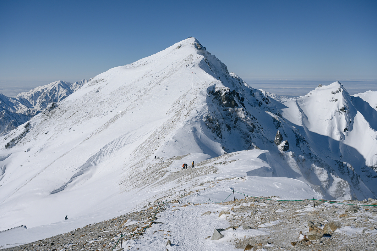 f:id:daitai_Iro:20220227222315j:plain