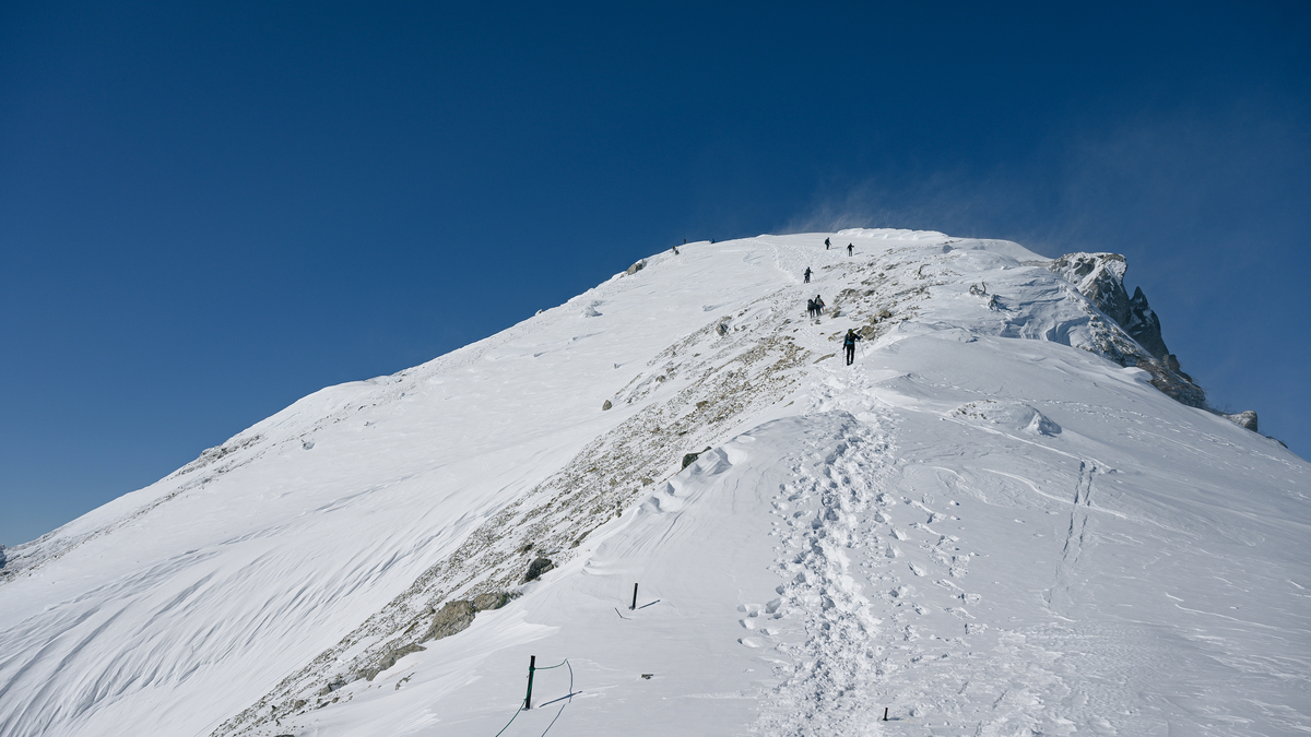 f:id:daitai_Iro:20220227222628j:plain