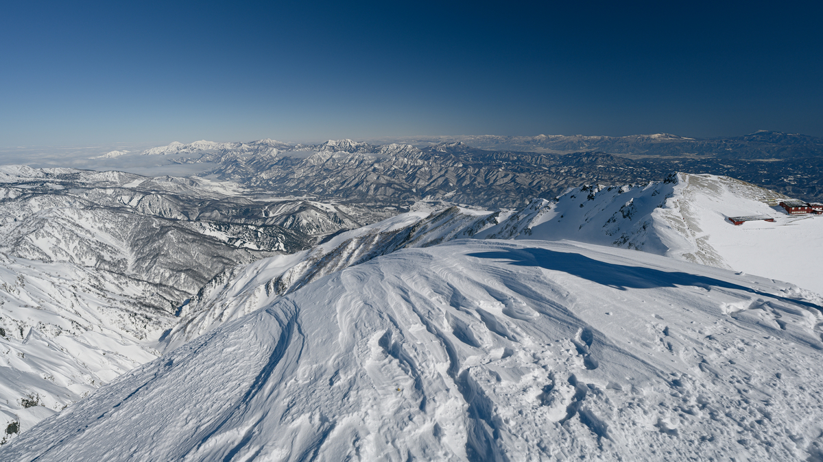 f:id:daitai_Iro:20220228195354j:plain