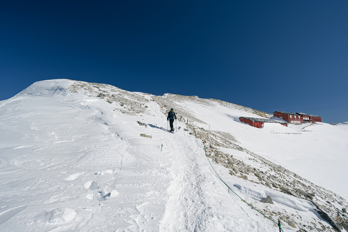 f:id:daitai_Iro:20220228195618j:plain