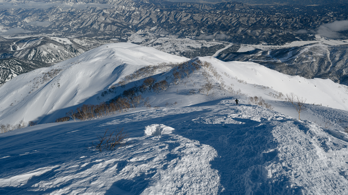 f:id:daitai_Iro:20220228200130j:plain