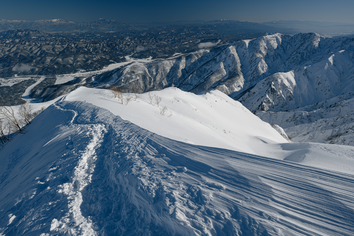 f:id:daitai_Iro:20220228200158j:plain