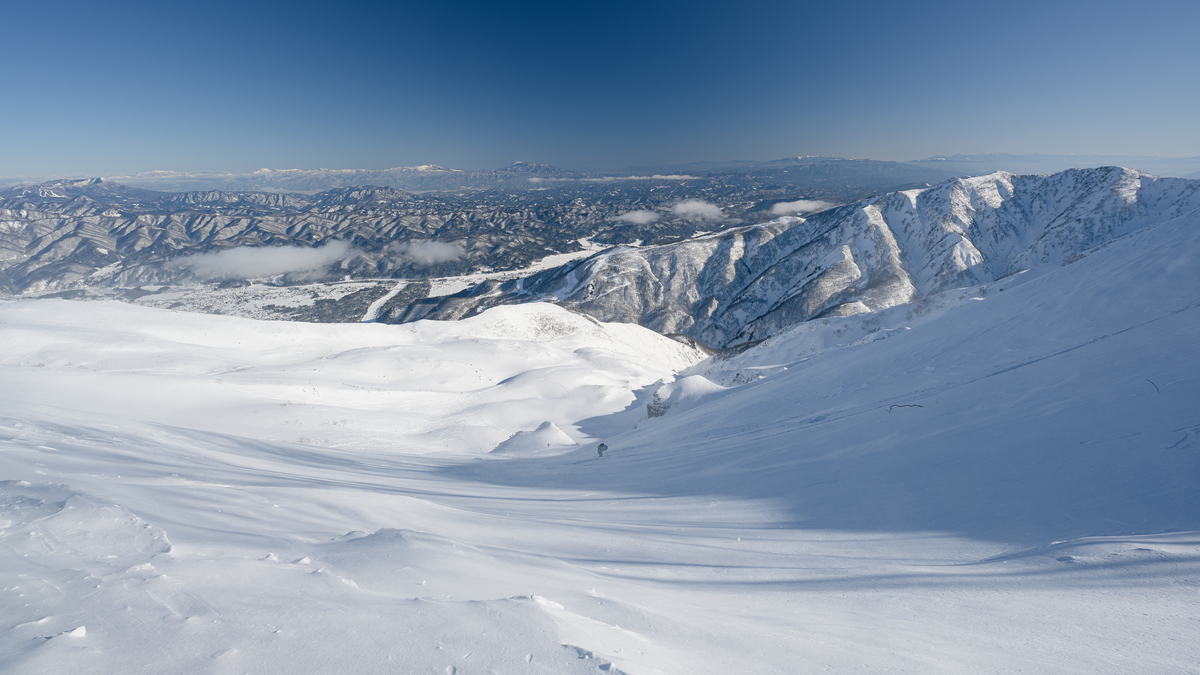 f:id:daitai_Iro:20220228200303j:plain