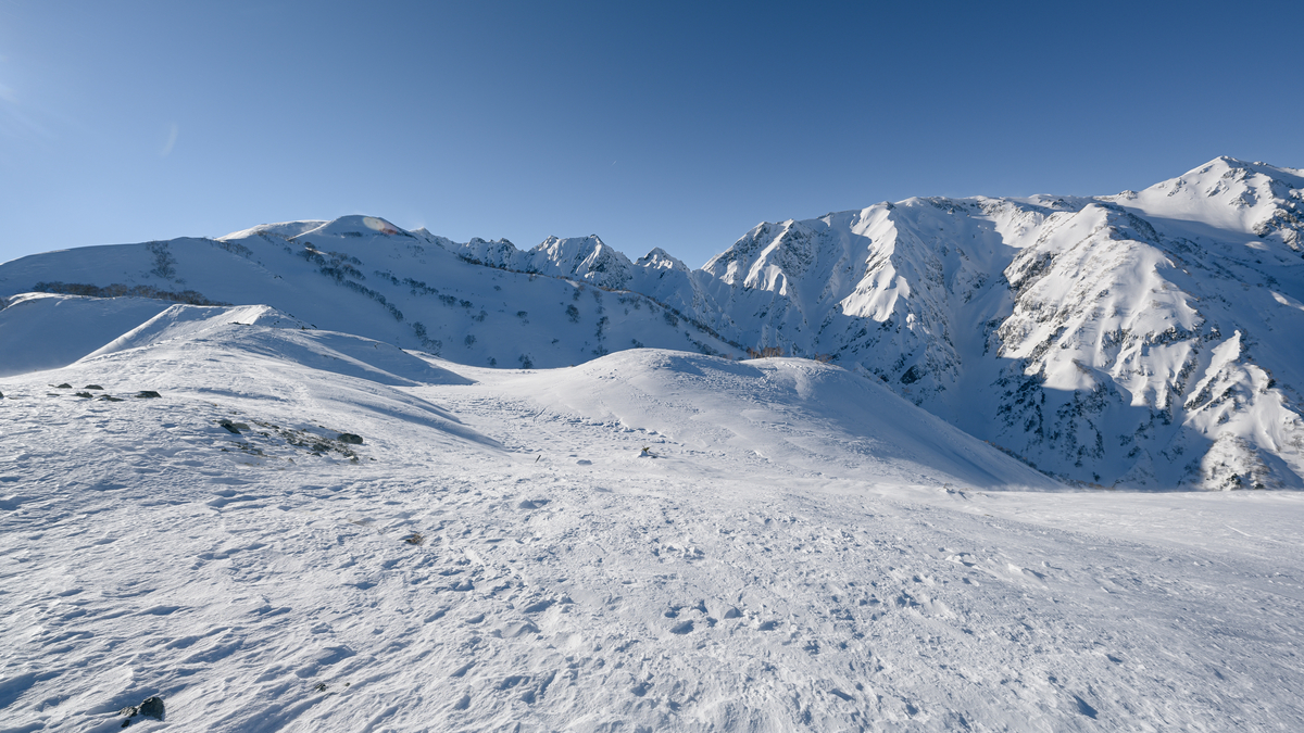 f:id:daitai_Iro:20220228200341j:plain