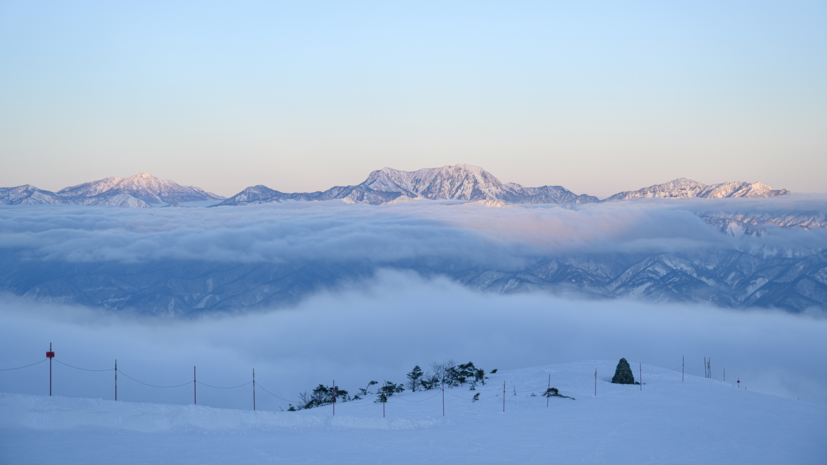 f:id:daitai_Iro:20220228200843j:plain