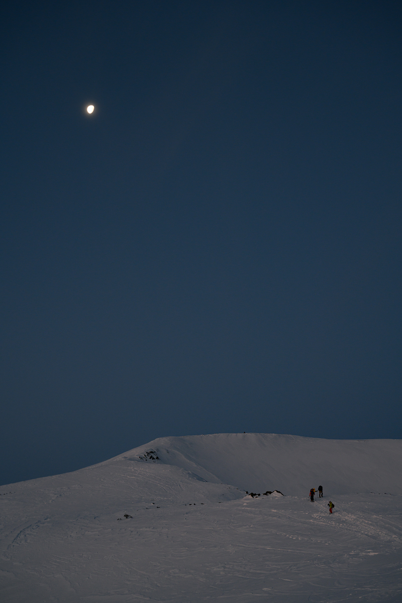 f:id:daitai_Iro:20220228212841j:plain