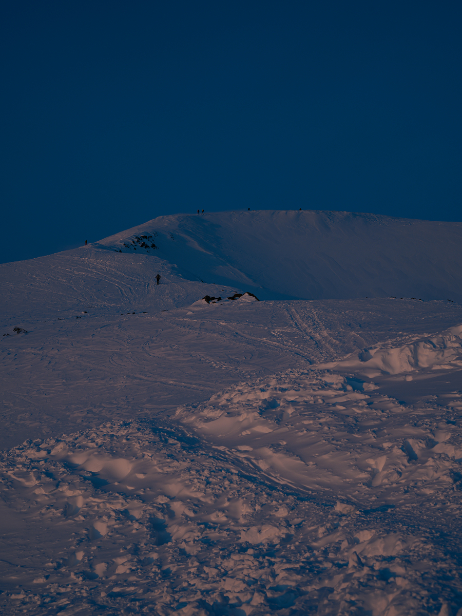 f:id:daitai_Iro:20220228214235j:plain