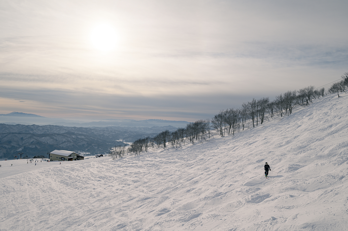 f:id:daitai_Iro:20220228214826j:plain