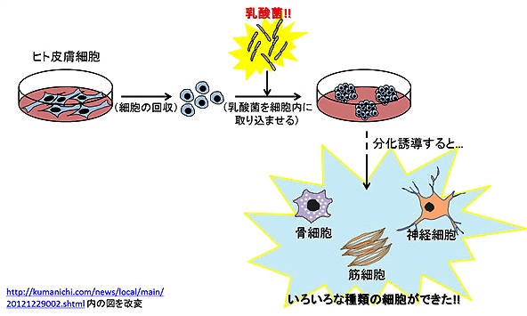 f:id:daitenshiurieru:20190121200812j:plain f:id:daitenshiurieru:20190121200812j:plain