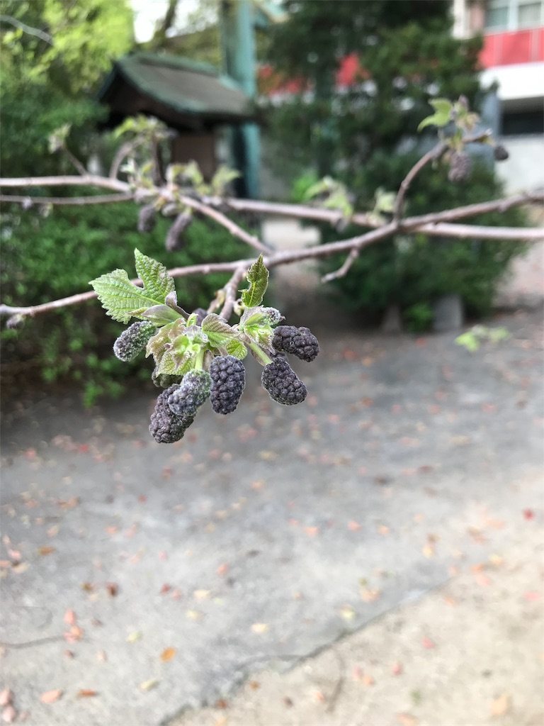 f:id:daitokai-kanazawa:20190420093159j:image f:id:daitokai-kanazawa:20190420093159j:image