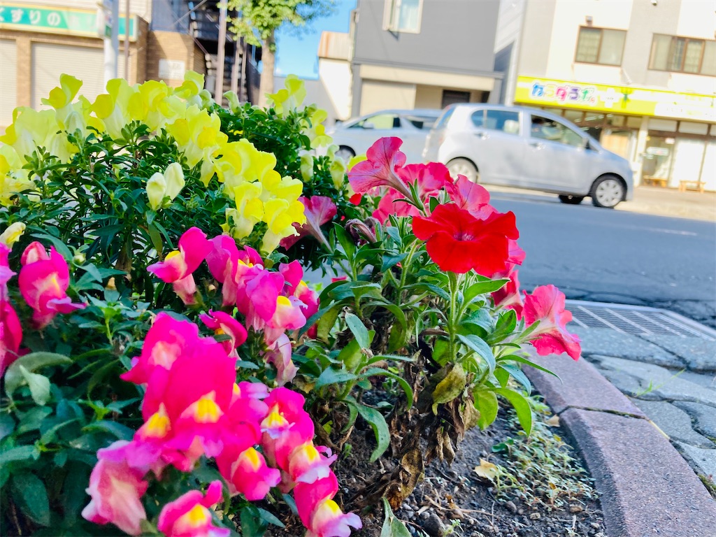 f:id:daiwa2525:20210831085446j:image