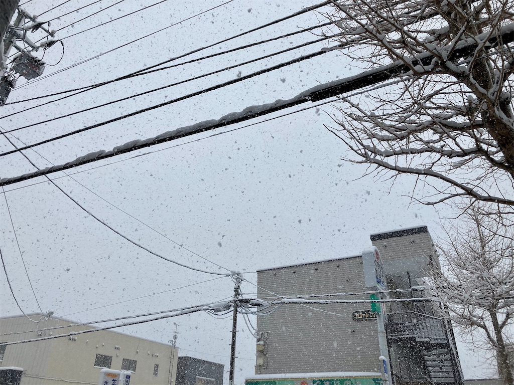 f:id:daiwa2525:20211217132058j:image f:id:daiwa2525:20211217132058j:image