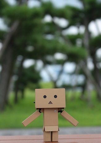 17年8月30日 ダンボー画像no 12 ダンボー Danboard を一眼レフで撮ってみたblog