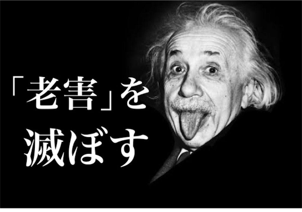 f:id:daiyu1994:20240317214808j:image f:id:daiyu1994:20240317214808j:image