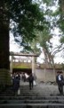 20090310135559