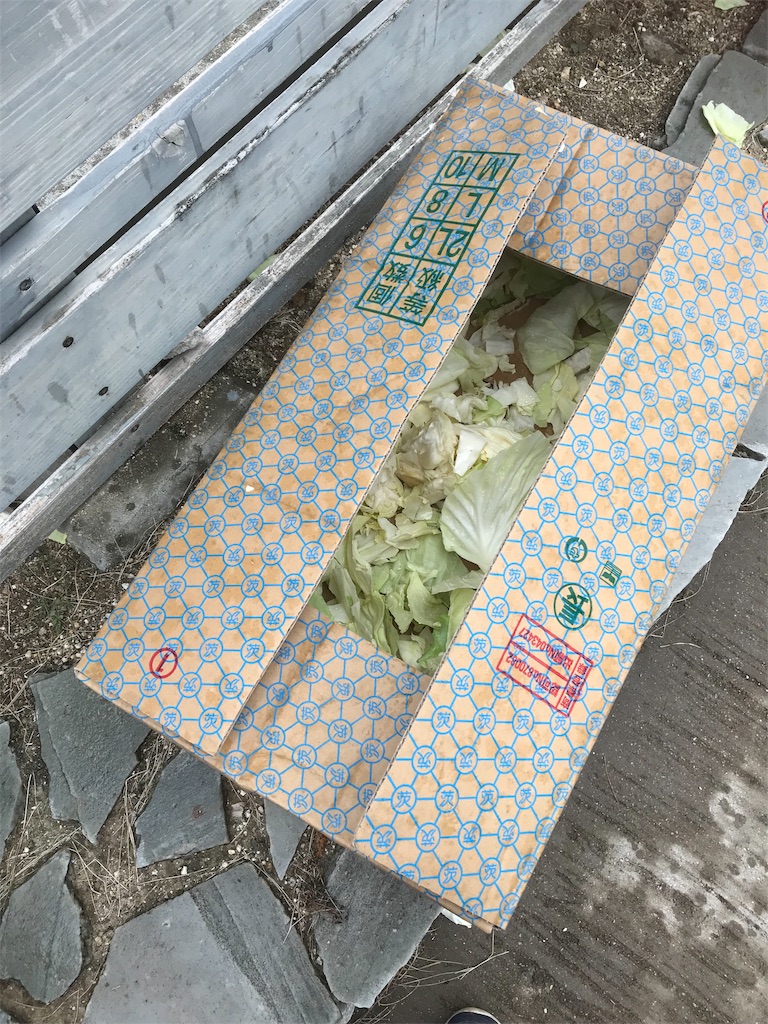 f:id:daizumayuge:20191029181122j:image