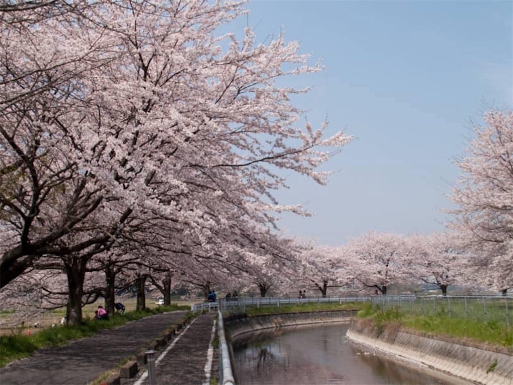 f:id:daizumonogatari:20190708052251j:image