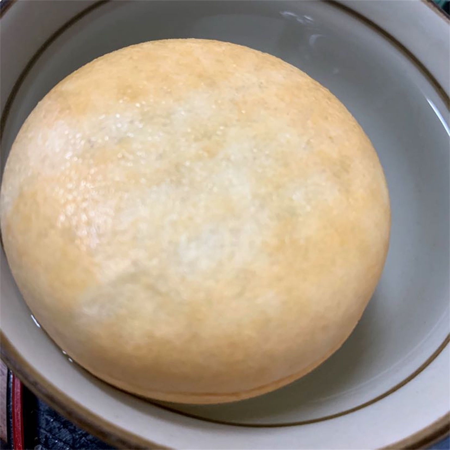 f:id:dajyareinu:20190326222323j:image