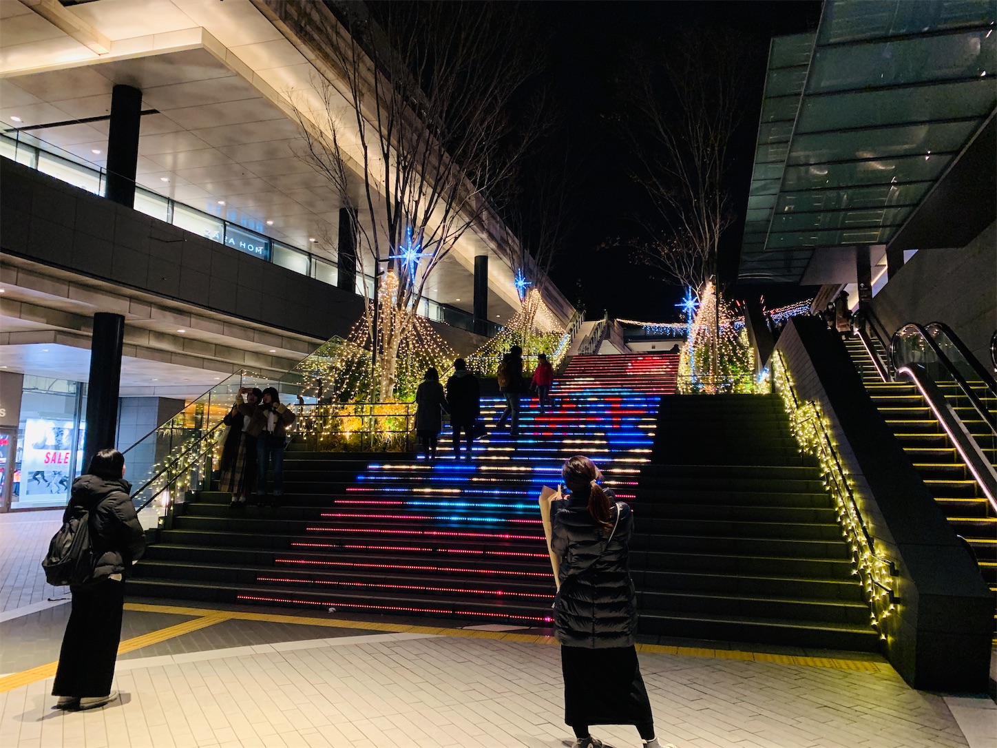 f:id:dajyareinu:20191222122246j:image