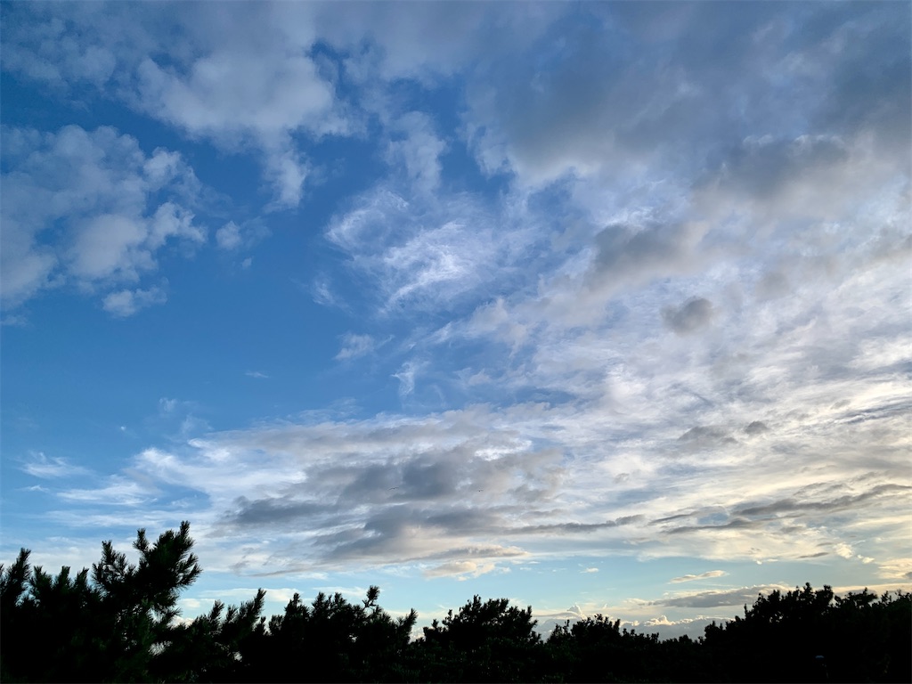 f:id:dajyareinu:20230826132306j:image