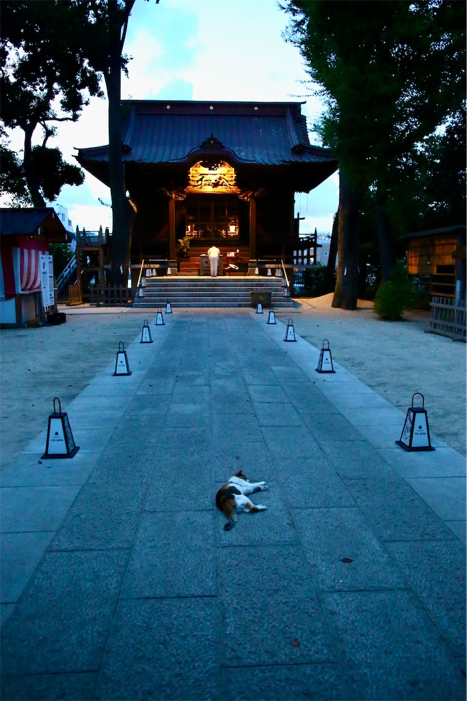 f:id:dajyareinu:20230827173916j:image