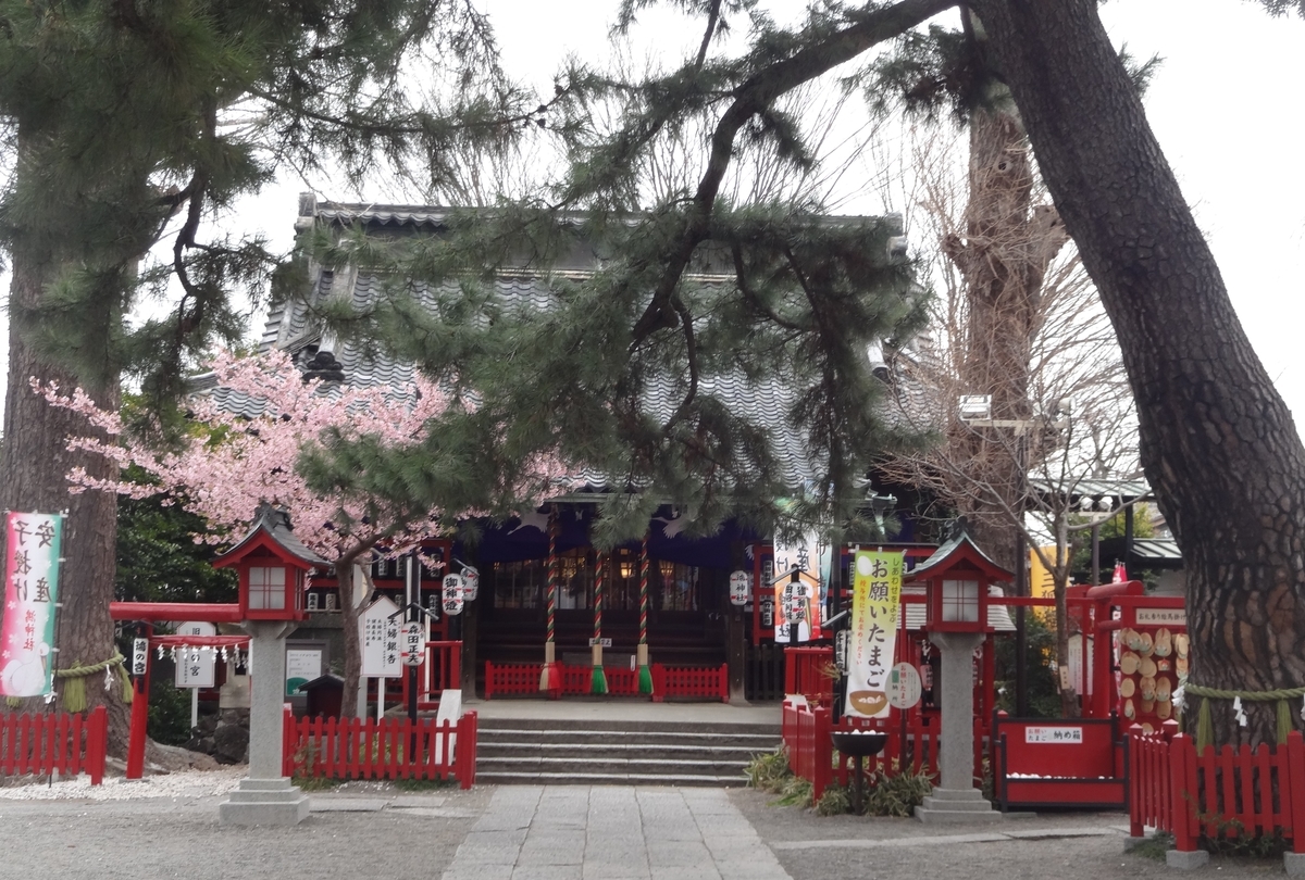f:id:dajyaresensei:20120103235700j:plain