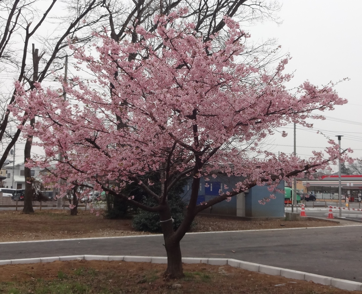 f:id:dajyaresensei:20120104022400j:plain f:id:dajyaresensei:20120104022400j:plain