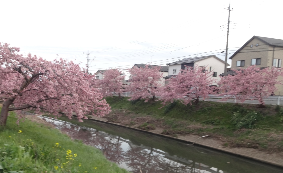 f:id:dajyaresensei:20120109060936j:plain