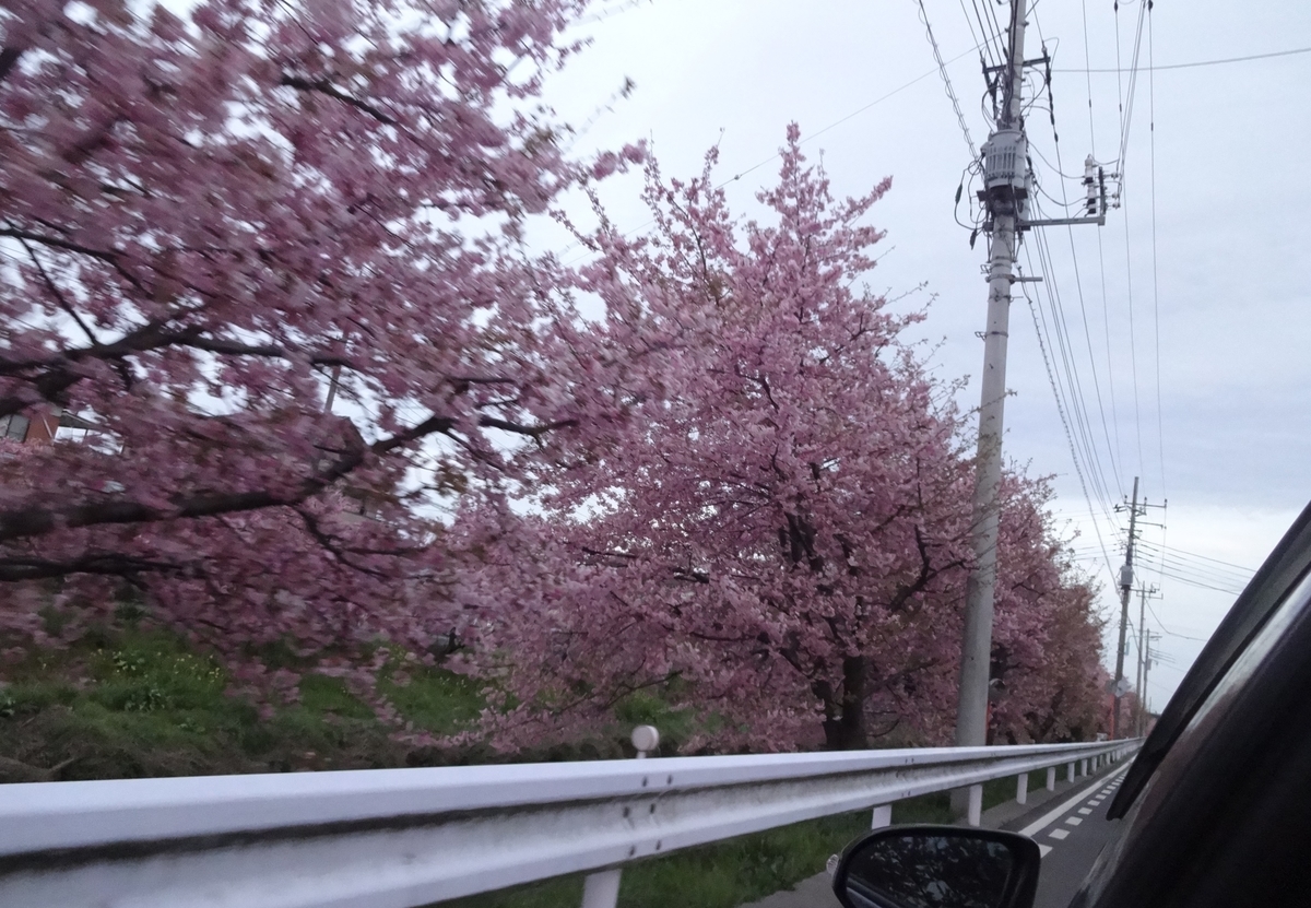 f:id:dajyaresensei:20120109063758j:plain