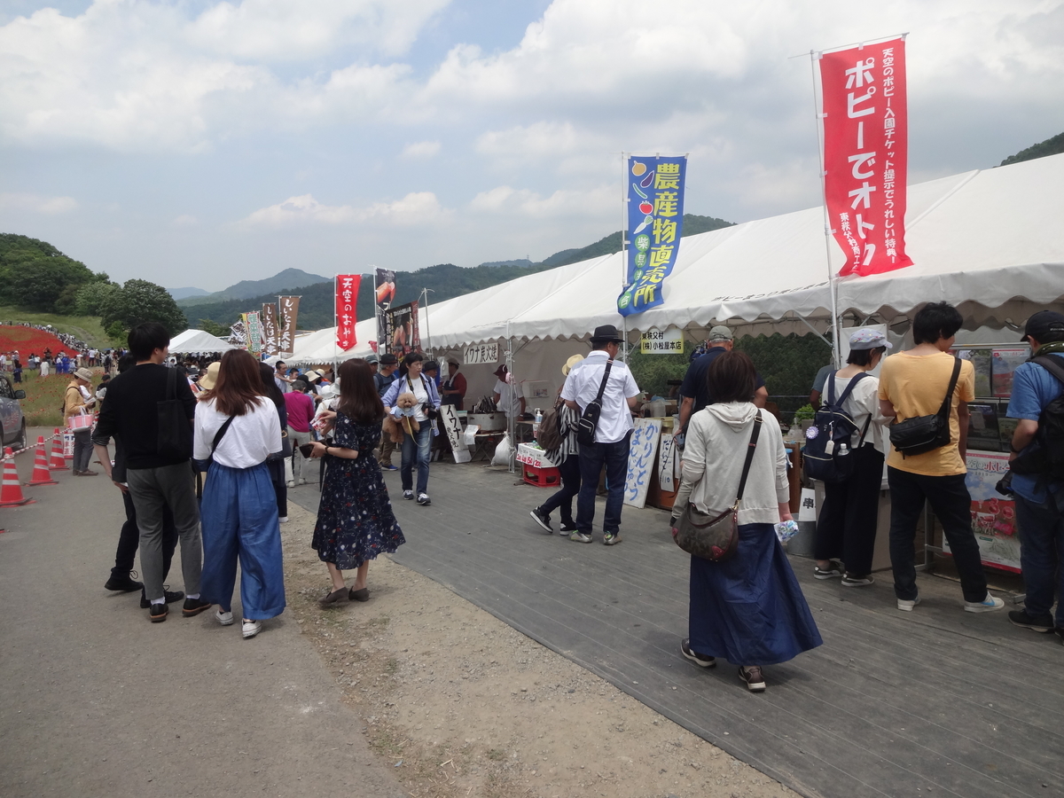 f:id:dajyaresensei:20190602230552j:plain