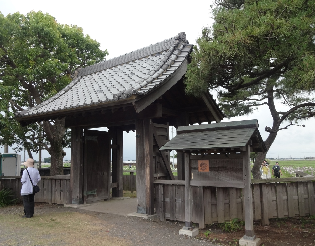 f:id:dajyaresensei:20190623154321j:plain