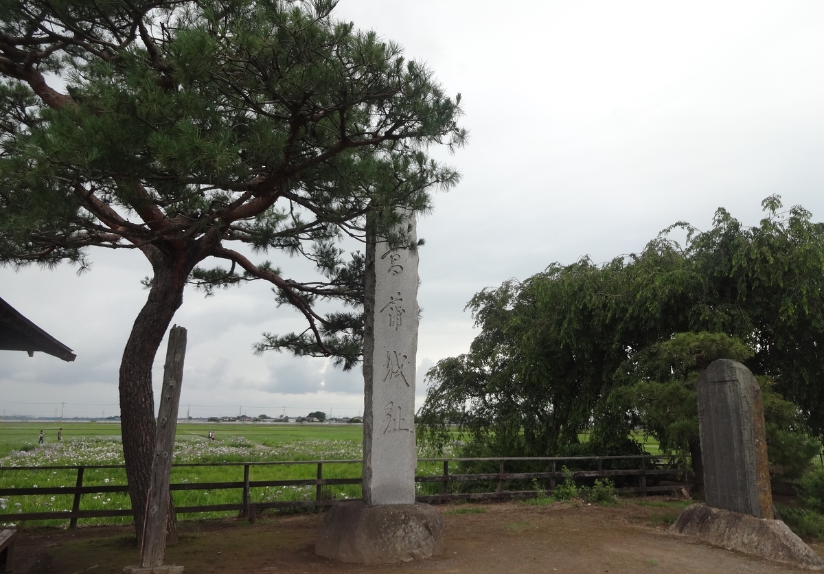 f:id:dajyaresensei:20190623155324j:plain