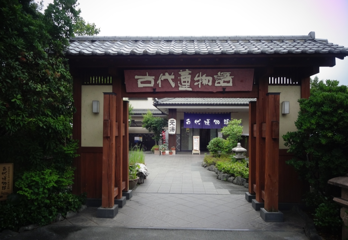 f:id:dajyaresensei:20190630111915j:plain