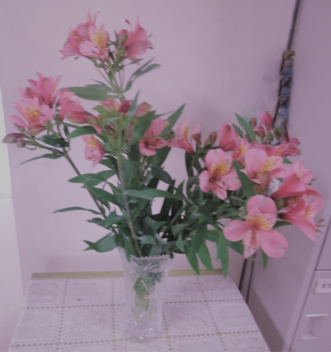 f:id:dajyaresensei:20190802214846j:plain
