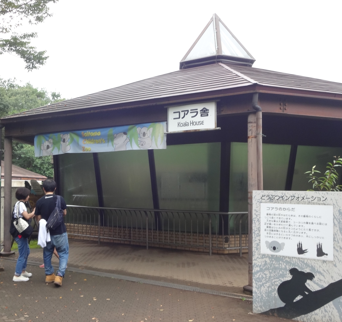 f:id:dajyaresensei:20190918224332j:plain