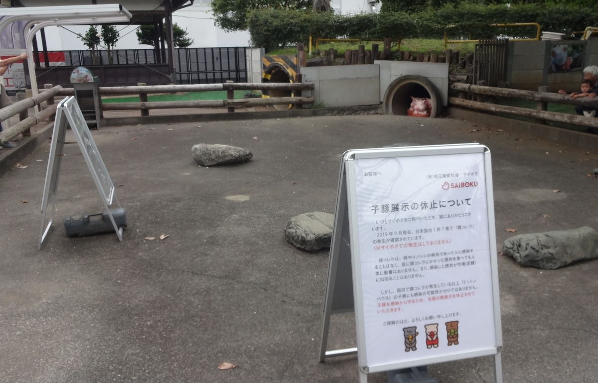 f:id:dajyaresensei:20190921230740j:plain