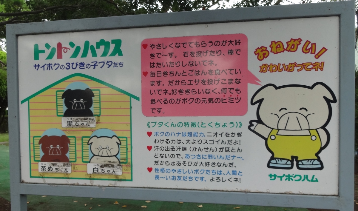 f:id:dajyaresensei:20190922065852j:plain