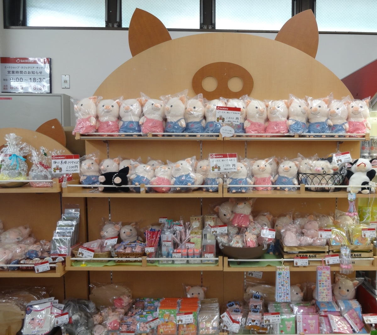 f:id:dajyaresensei:20190922070137j:plain