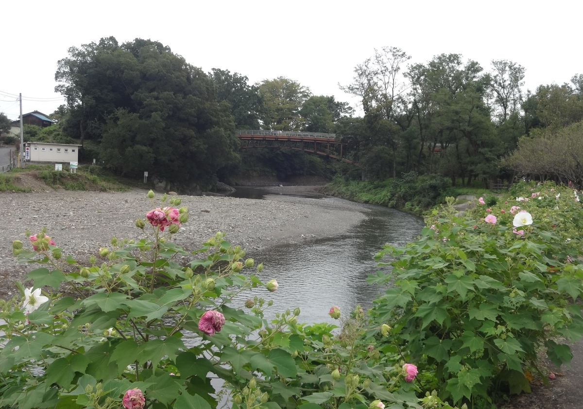 f:id:dajyaresensei:20190922141944j:plain