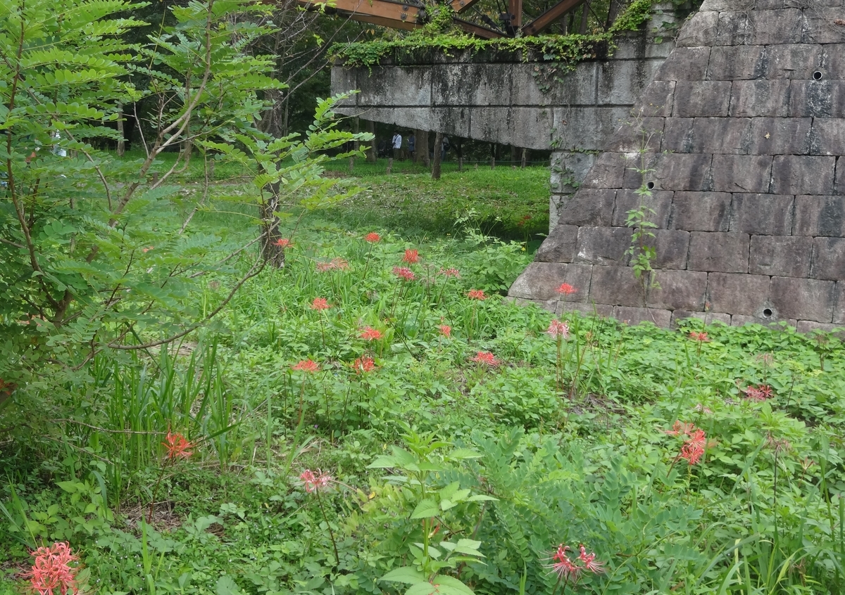 f:id:dajyaresensei:20190922142246j:plain