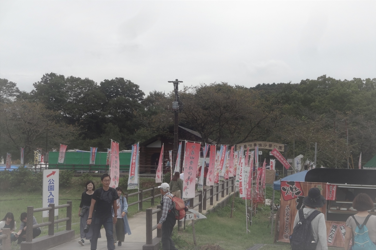 f:id:dajyaresensei:20190922142910j:plain