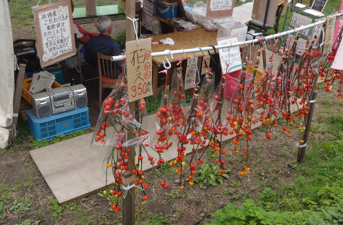 f:id:dajyaresensei:20190922163805j:plain