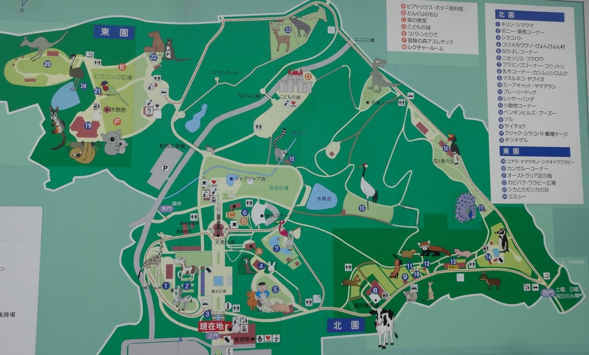 f:id:dajyaresensei:20191004211029j:plain