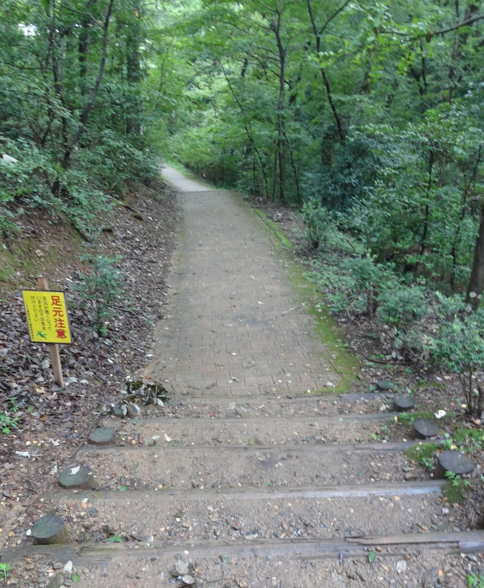 f:id:dajyaresensei:20191004212624j:plain