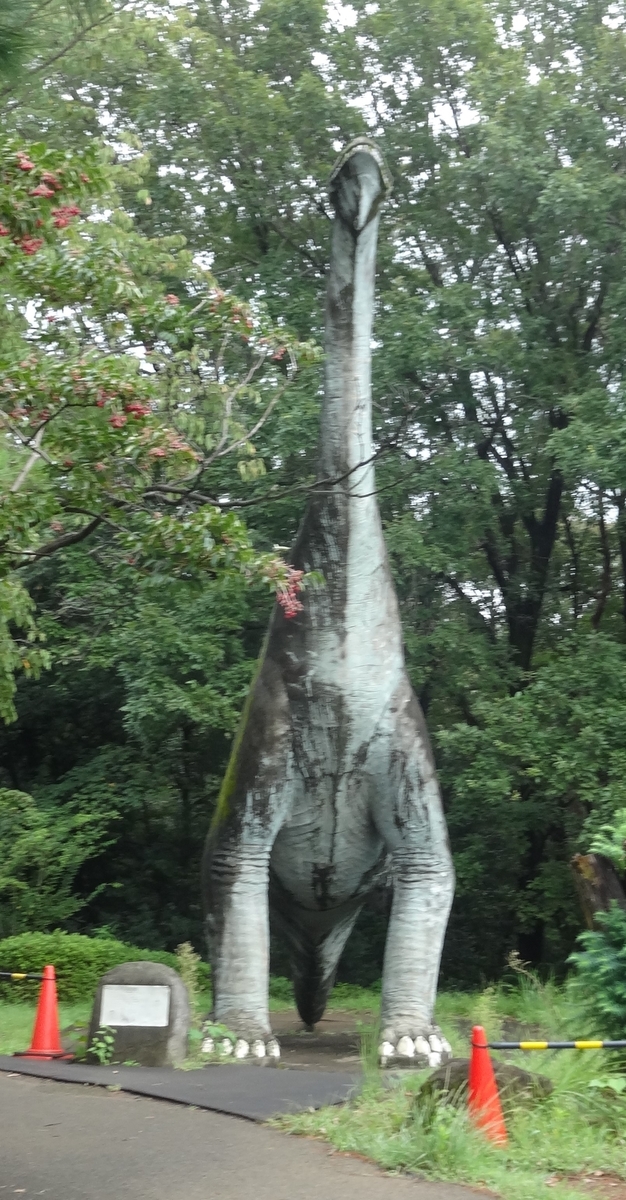 f:id:dajyaresensei:20191004213348j:plain