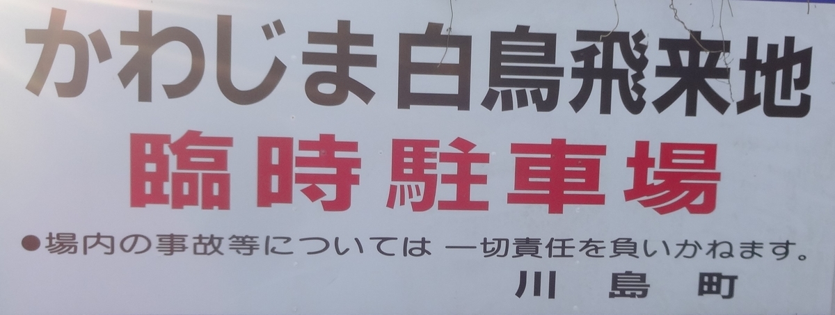 f:id:dajyaresensei:20191117223720j:plain